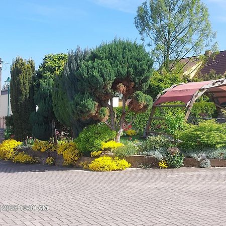 Ferienwohnung Bienwald Mit Pool Fuer 4 - 6 Personen Mit 3 Schlafzimmern Grobitz Bagian luar foto