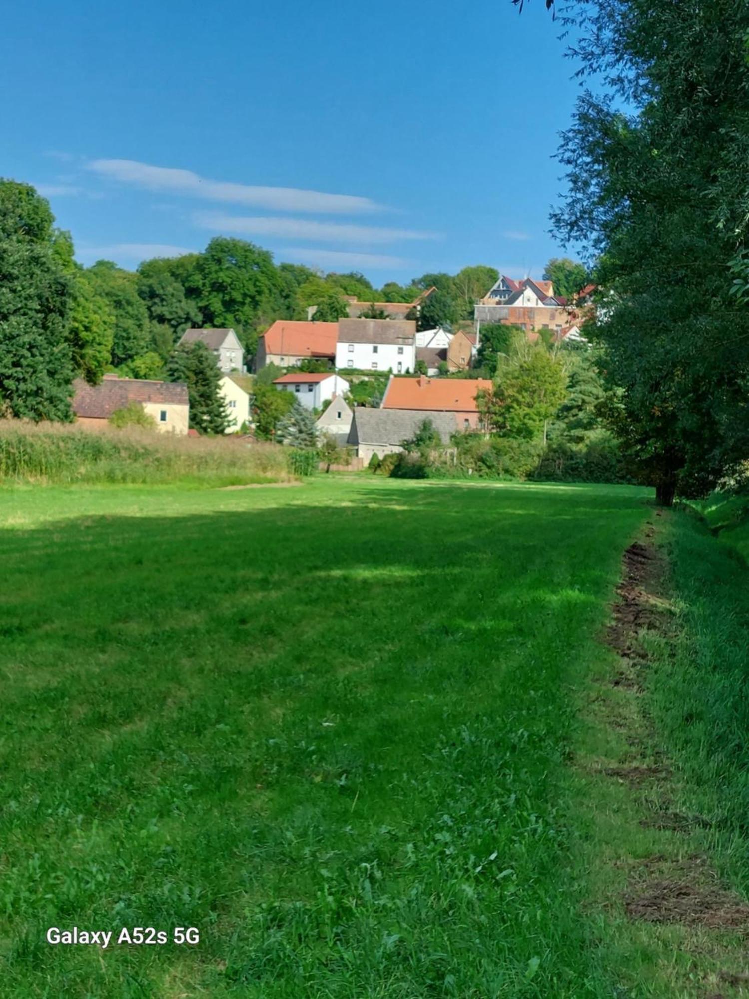 Ferienwohnung Bienwald Mit Pool Fuer 4 - 6 Personen Mit 3 Schlafzimmern Grobitz Bagian luar foto